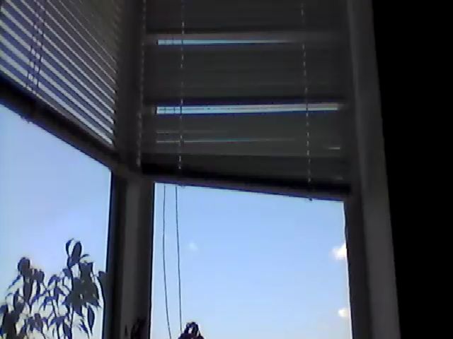 Live sex webcam photo for HotMakadamia #253369373