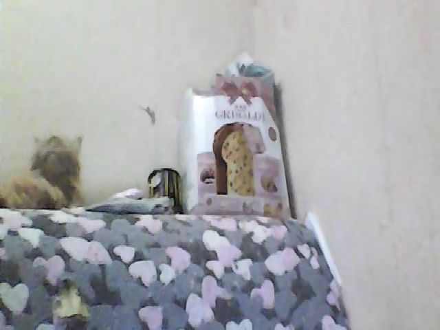 Live sex webcam photo for GuiltyKitty #264868269