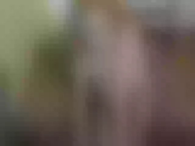 Live sex webcam photo for Evocative1 #241062732