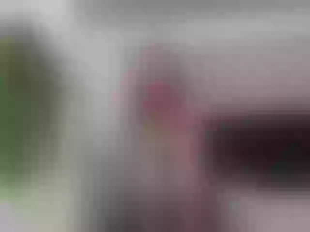 Live sex webcam photo for girasol-walto #252879241