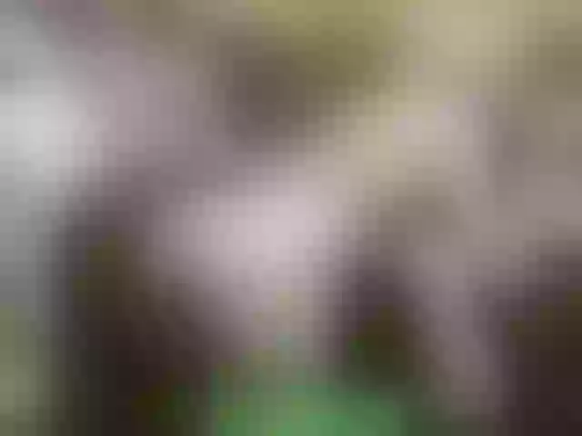 Live sex webcam photo for alisablond #241215211