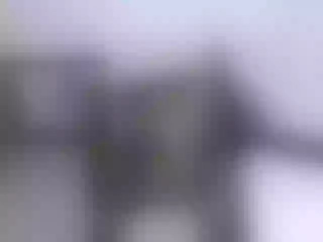Live sex webcam photo for Leidysautss #263278980