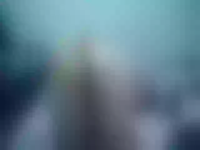 Live sex webcam photo for Girlhornyx20 #252263486