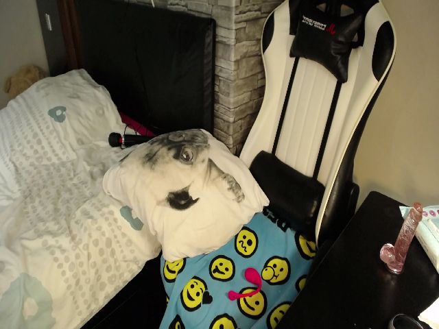 Live sex webcam photo for ASweetMaya #264117581