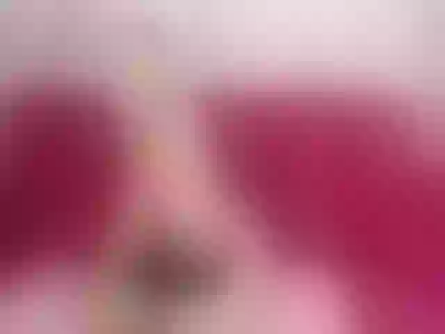 Live sex webcam photo for Lerry_Teen #255829184