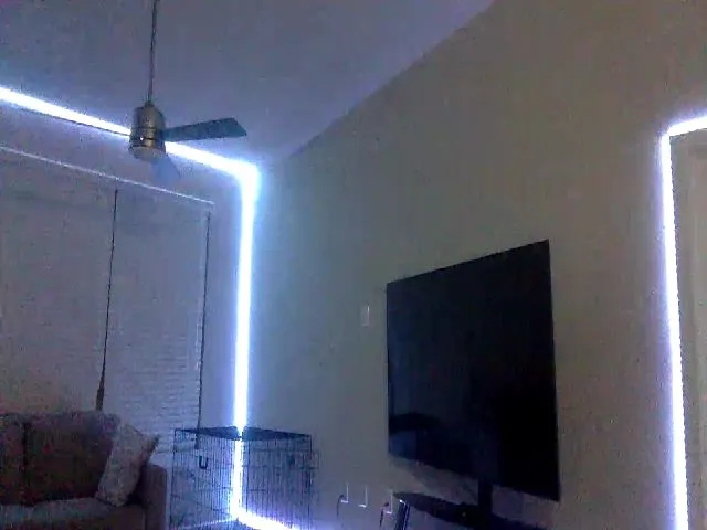 Live sex webcam photo for Sammy_gray #264046590