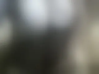 Live sex webcam photo for reis245 #240529551