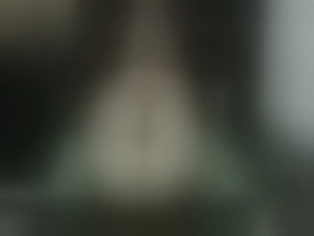 Live sex webcam photo for Amy_snow #256068732