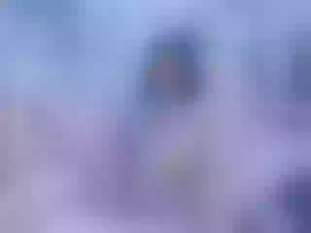 Live sex webcam photo for kinkybrunetee #265530141