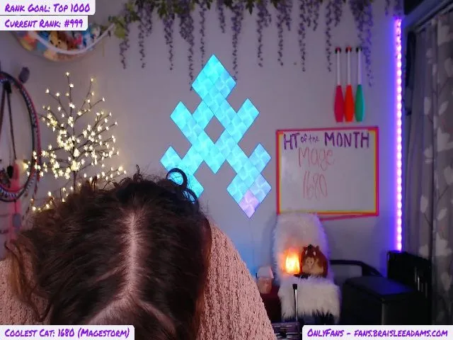 Live sex webcam photo for BraisleeAdams #252730482