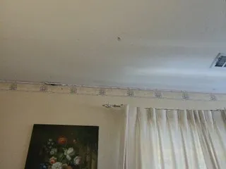 Live sex webcam photo for Prurient-Gem #240706352