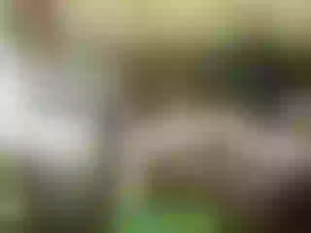 Live sex webcam photo for alisablond #241225172
