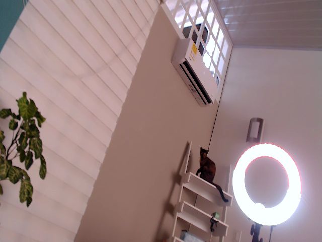 Live sex webcam photo for AngelaMar #257065272