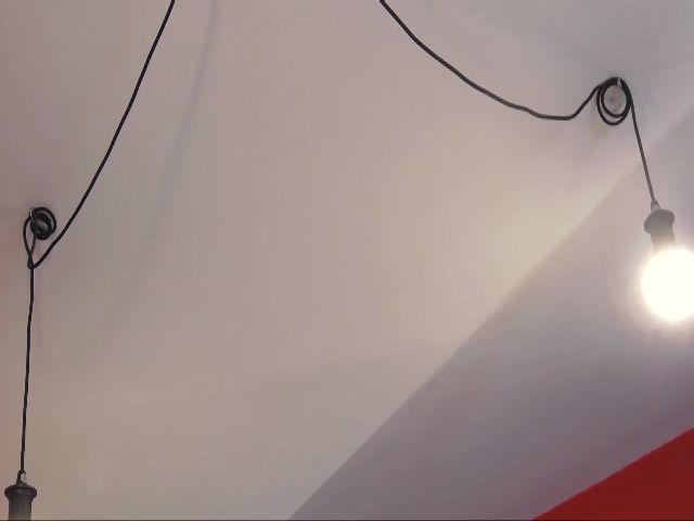 Live sex webcam photo for Viviana05 #256220732