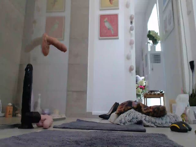 Live sex webcam photo for Shy_Puppy #264221297