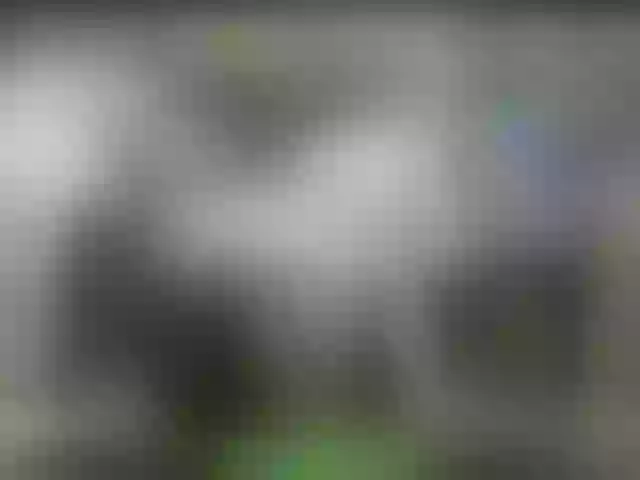 Live sex webcam photo for alisablond #252491470