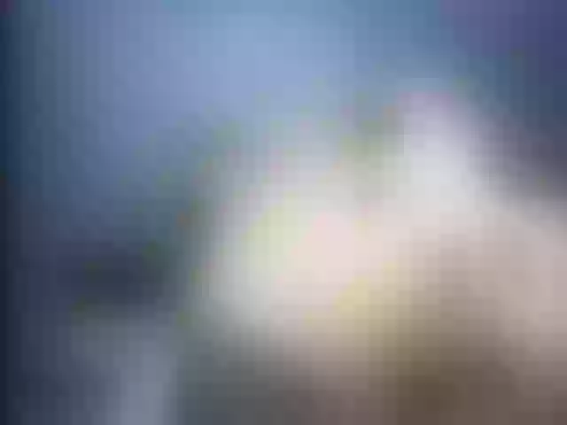 Live sex webcam photo for Ellaquality #252733239