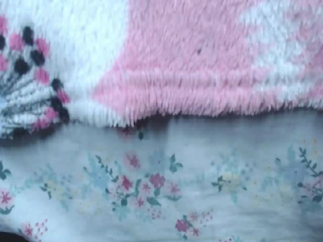 Live sex webcam photo for Sandylau2216 #254594015