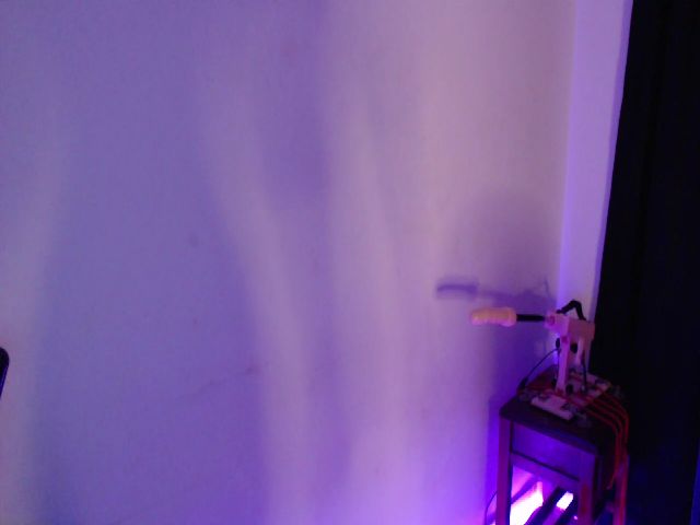 Live sex webcam photo for Aliiciapalmer #255528735