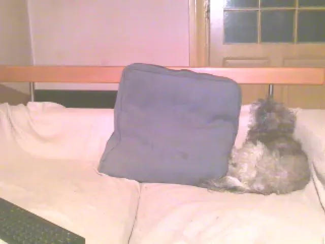 Live sex webcam photo for Lili_Mari69 #252587607