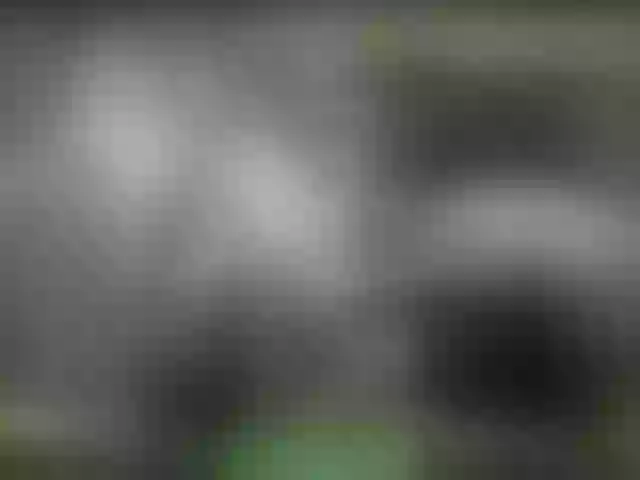 Live sex webcam photo for alisablond #248395497