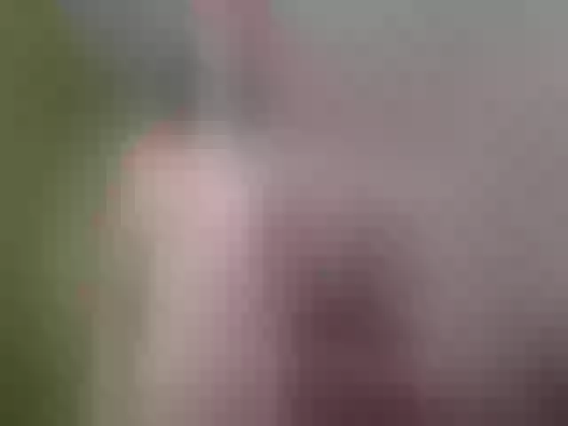 Live sex webcam photo for Evelynevi #253011663
