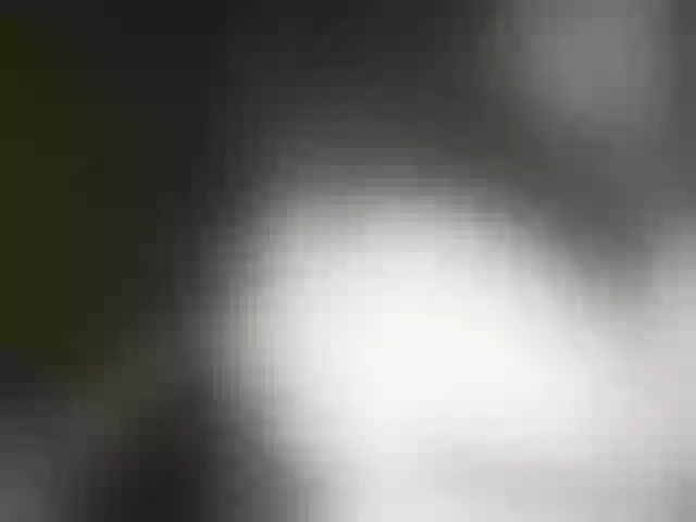 Live sex webcam photo for Star-Skyline #240925443