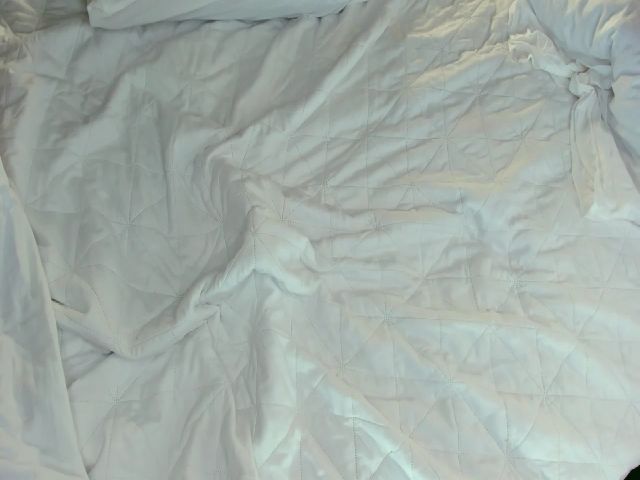 Live sex webcam photo for KhimeraRose #263221905