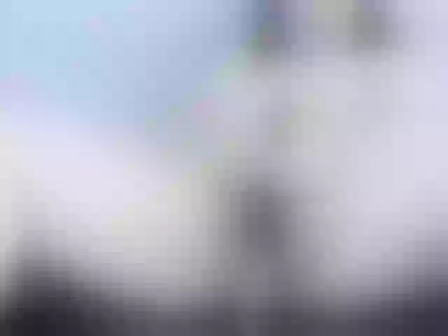 Live sex webcam photo for Ginaforu #242512805