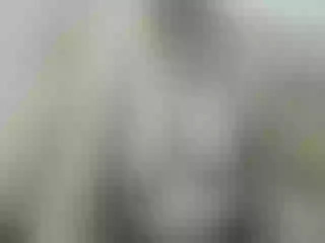 Live sex webcam photo for pugglelover #258635017