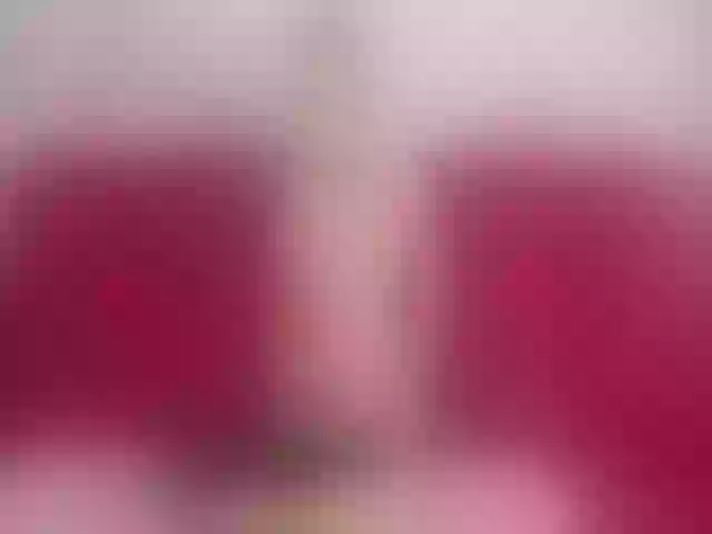 Live sex webcam photo for Lerry_Teen #264838677