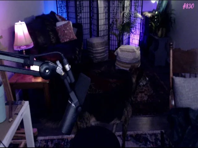 Live sex webcam photo for Sophelia #263488440