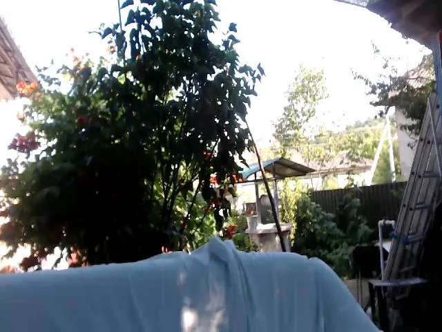 Live sex webcam photo for BeankaV #253438305