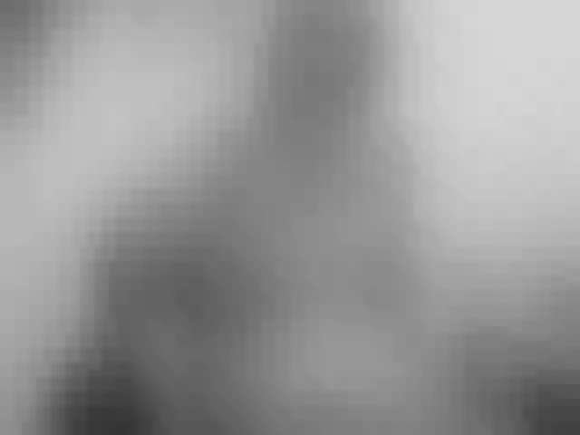 Live sex webcam photo for Nymphaea #241284794