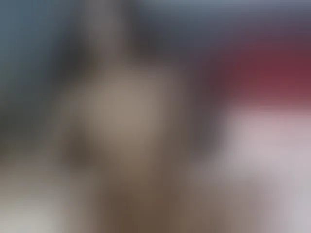 Live sex webcam photo for Anniieee #249517247