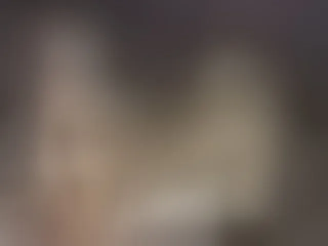Live sex webcam photo for Xtina_ #261641629