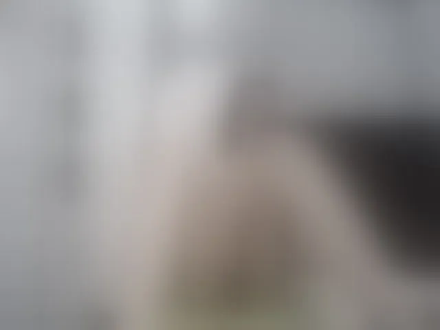 Live sex webcam photo for Girasolwalton #262079553