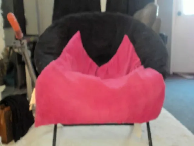 Live sex webcam photo for KinkyKortney #264300963