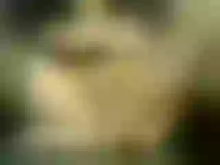 Live sex webcam photo for LoveAss55 #240486190