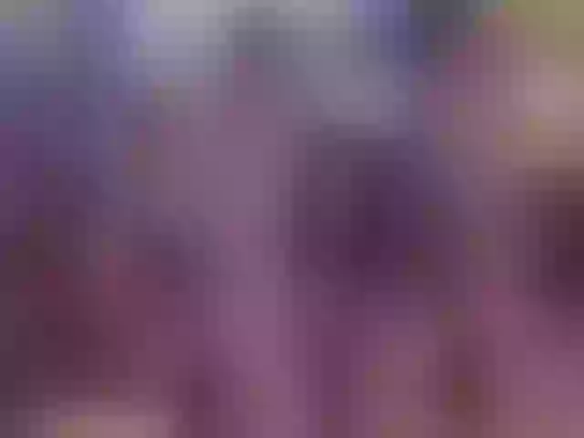 Live sex webcam photo for Sweet_Bella__ #263015559