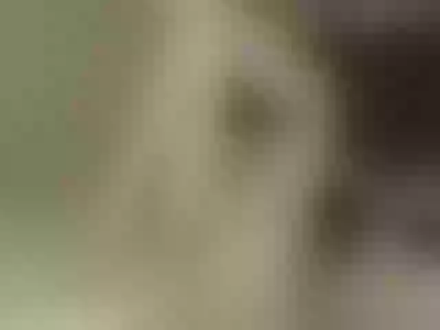 Live sex webcam photo for Sonyabrage #262717165
