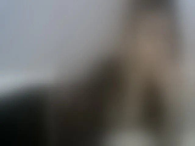 Live sex webcam photo for Tattoo_bbgirl #253090904