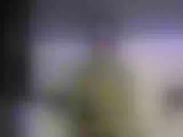 Live sex webcam photo for Your_Desirre #260918130