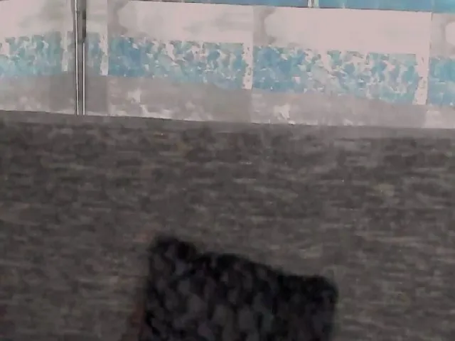 Live sex webcam photo for Antonynna #264054778