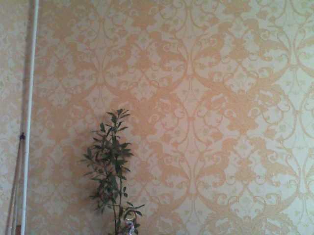 Live sex webcam photo for ozlemyilmaz23 #241184299