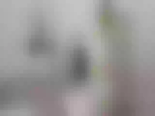 Live sex webcam photo for LovelyLullaby #263243886