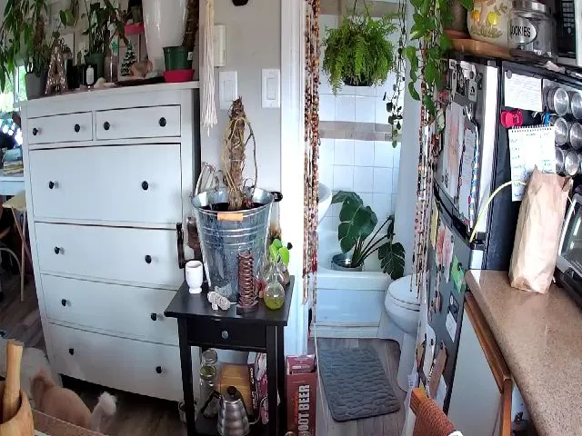 Live sex webcam photo for Sexylexi211 #256435828