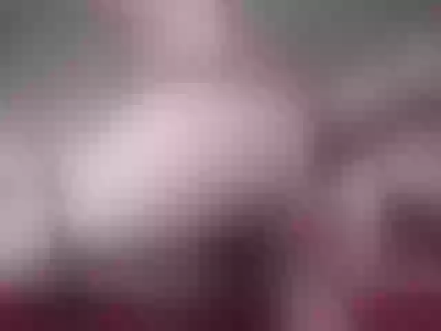 Live sex webcam photo for nicehotjob #241431360