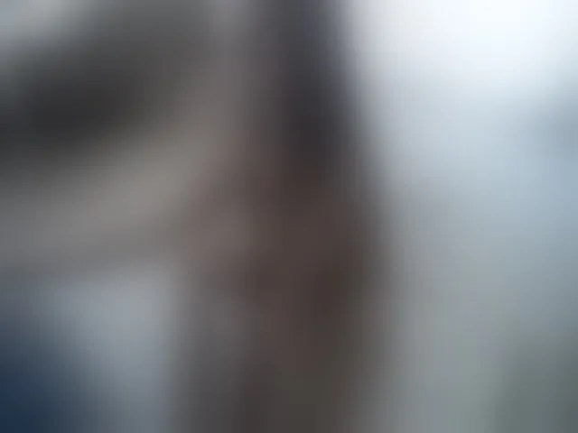Live sex webcam photo for TeamInspire1 #262288234