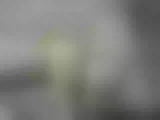 Live sex webcam photo for Misskristina #240972476